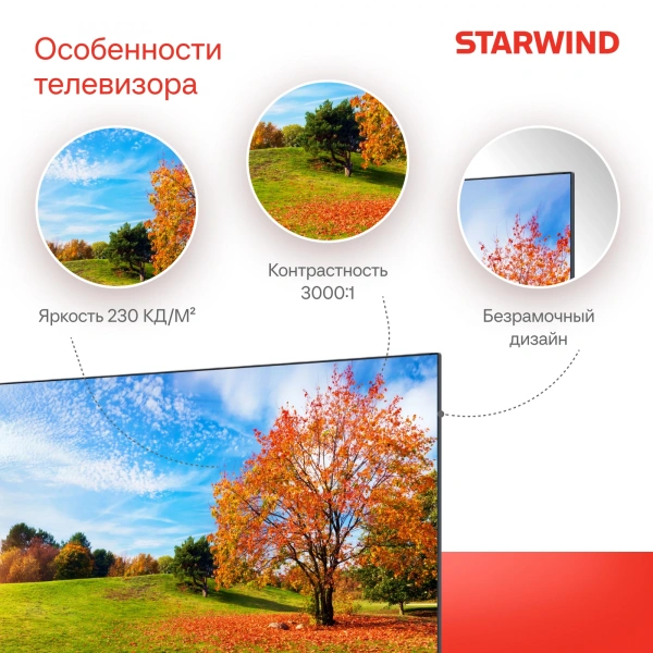 Телевизор LED Starwind 43" SW-LED43UG403 Яндекс.ТВ Frameless черный 4K Ultra HD 60Hz DVB-T DVB-T2 DVB-C DVB-S DVB-S2 USB WiFi Smart TV