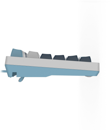 Клавиатура A4Tech Fstyler FS300 механическая белый/синий USB for gamer LED (FS300 PANDA SNOWBOARDING