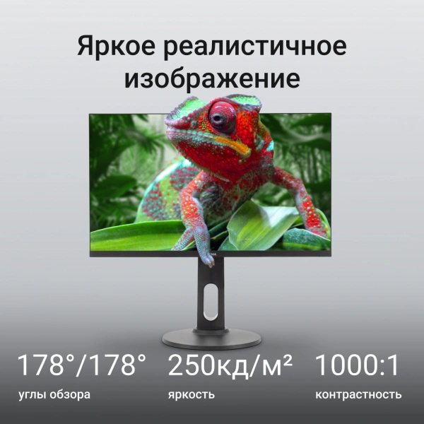 Монитор Digma 23.8" Progress 24P505F IPS FHD чер 5ms HDMI DP VGA M/M HAS Piv 100Hz 250cd In