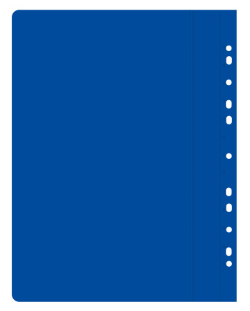 Папка-скоросшиватель Бюрократ PS10/1 A4 10 вкладышей боков.перф. пластик ассорти 0.12/0.16