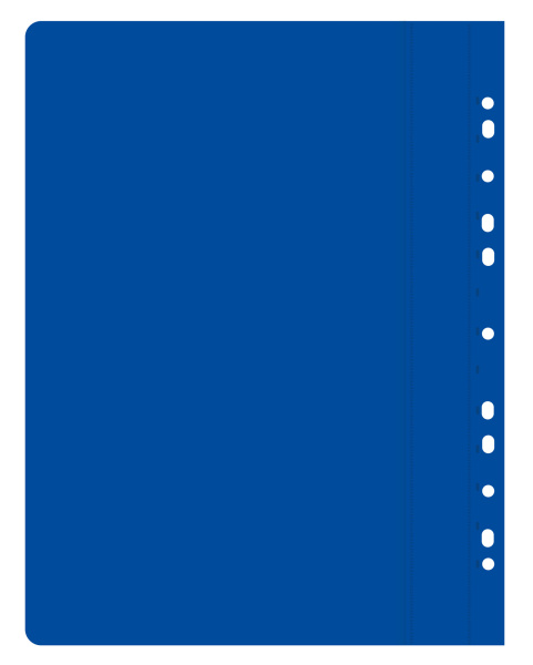 Папка-скоросшиватель Бюрократ PS10/1 A4 10 вкладышей боков.перф. пластик ассорти 0.12/0.16