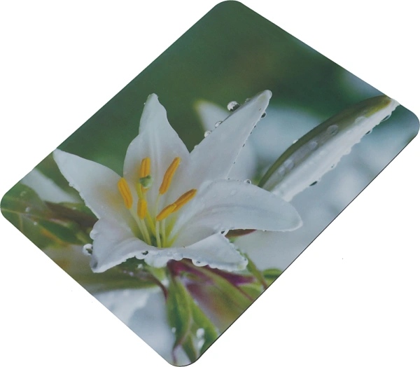 Коврик для мыши Buro BU-M20041 Мини рисунок/лилия 230x180x2мм