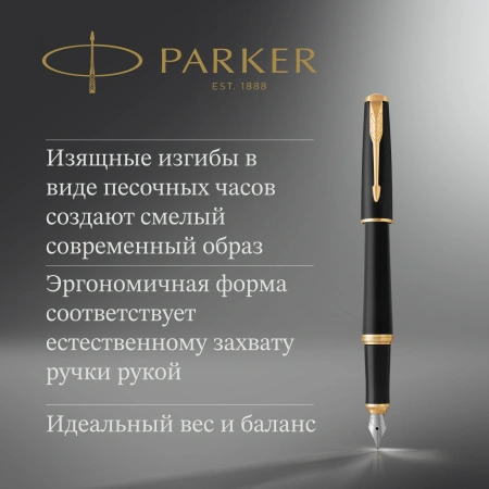 Ручка перьев. Parker Urban Core F309 (CW1931593) Muted Black GT F сталь нержавеющая подар.кор.