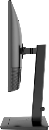 Монитор NPC 23.8" MF2418 IPS FHD чер 4ms DVI HDMI DP VGA M/M HAS Piv 100Hz 300cd In