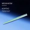 Ручка шариков. Waterman Graduate Allure Pastel Colors (2105304) Mint Green Lacquer M син. черн. подар.кор.