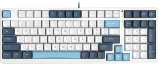Клавиатура A4Tech Fstyler FS300 механическая белый/синий USB for gamer LED (FS300 PANDA SNOWBOARDING