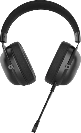 Наушники с микрофоном Acer AHW122 черный 2.1м мониторные USB оголовье (ZL.HDSCC.01U)