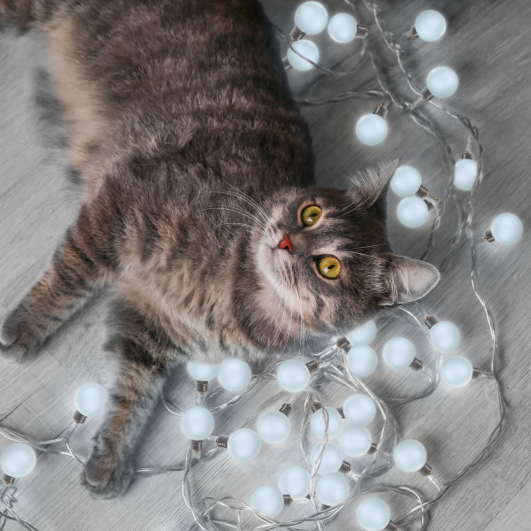 Гирлянда Gauss Solar GS033 нить шарики 10лам. дл.3.8м