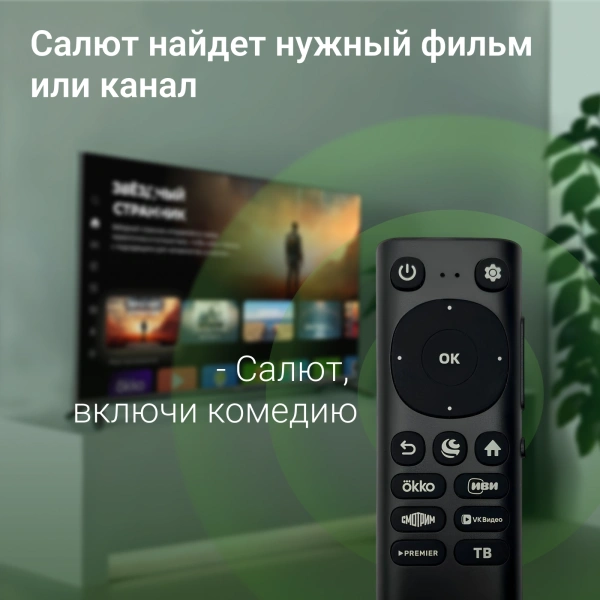 Телевизор LED Digma 50" DM-LED50UBB40 Smart Салют ТВ Frameless черный/4K Ultra HD/DVB-T/60Hz/DVB-T2/