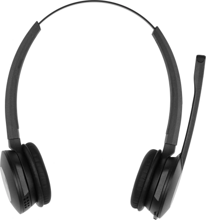 Наушники с микрофоном Jabra Pro 920 Duo черный накладные DECT (920-29-508-101)