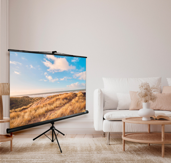 Экран Cactus 180x180см Triscreen CS-PST-180x180 1:1 напольный рулонный черный