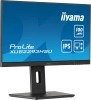 Монитор Iiyama 21.5" ProLite XUB2293HSU-B6 черный IPS LED 1ms 16:9 HDMI M/M матовая HAS Piv 1000:1 250cd 178гр/178гр 1920x1080 100Hz DP FHD USB 3.9кг