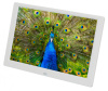 Фоторамка Digma 10.1" PF-1043 IPS 1280x800 белый пластик ПДУ Видео