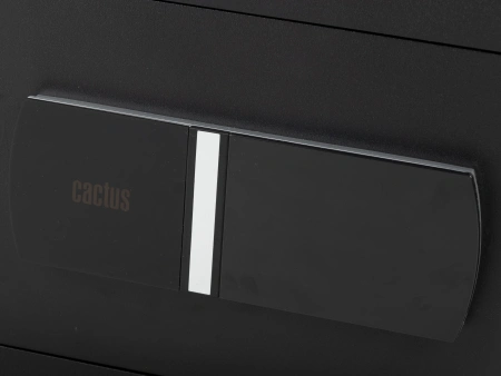 Сейф мебельный Cactus CS-SF-T25 250x350x300мм электронный