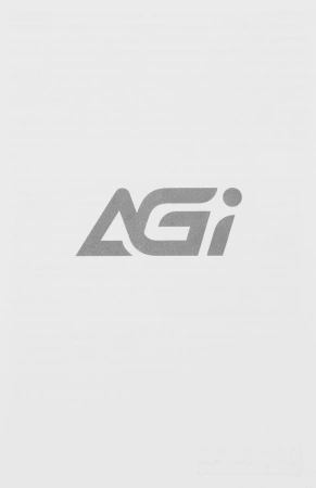 Накопитель SSD AGi PCIe 4.0 x4 2TB AGI2T0G44AI838 AI838 M.2 2280