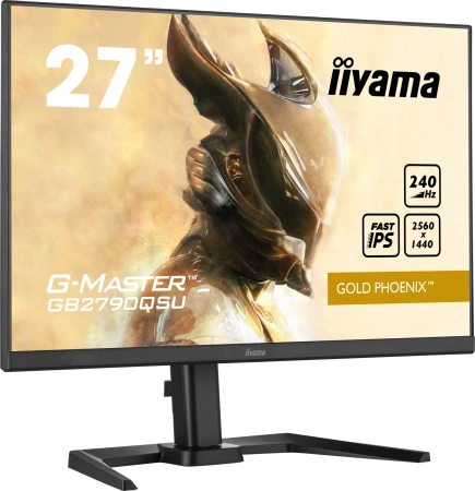 Монитор Iiyama 27" GB2790QSU-B5 IPS чер 1ms HDMI DP USB M/M HAS Piv 240Hz 400cd