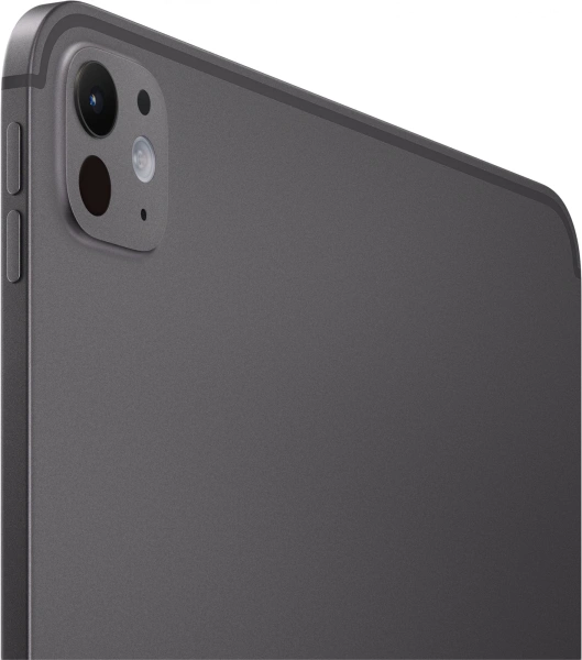 Планшет Apple iPad Pro 2024 A2836 M4 9C RAM8Gb ROM256Gb 11" OLED 2420x1668 iOS черный космос 12Mpix 12Mpix BT WiFi 10hr