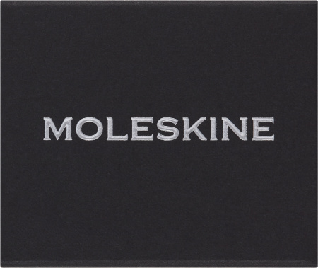 Шильд-символ Moleskine Zodiac Водолей металл серебристый коробка с европод. PINAQUARIUSSILV