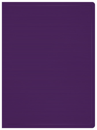 Папка с 100 прозр.вклад. Бюрократ DeLuxe DLVBOX100BBERRY A4 пластик 0.7мм черничный в коробе