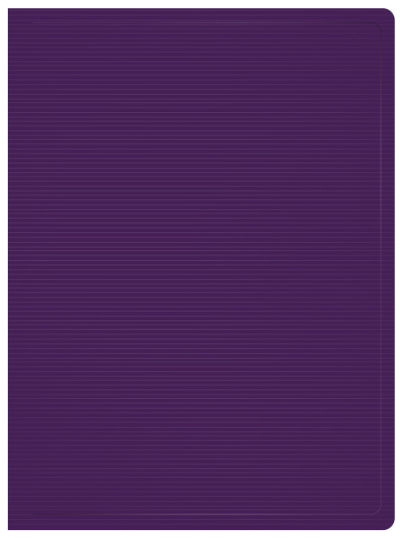 Папка с 80 прозр.вклад. Бюрократ DeLuxe DLVBOX80BBERRY A4 пластик 0.7мм черничный в коробе