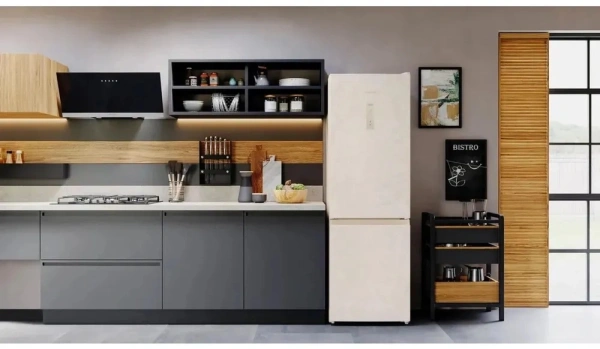 Холодильник Hotpoint HT 5180 AB 2-хкамерн. мраморный (869892400430)