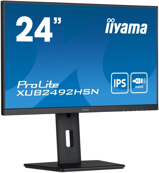 Монитор Iiyama 23.8" XUB2492HSN-B5 IPS FHD чер HDMI DP USB M/M HAS Piv 75Hz 250cd
