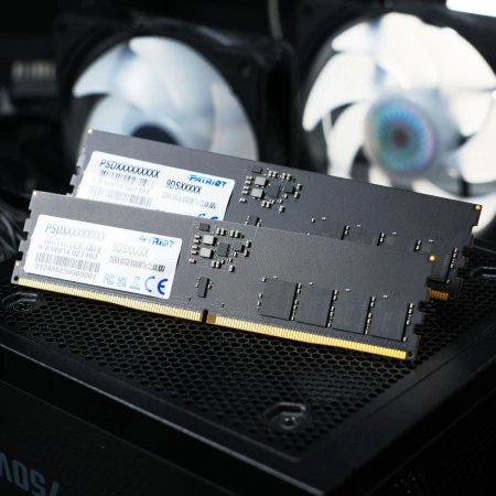 Память DDR5 16GB 6400MHz Patriot PSD516G64081C Signature RTL PC5-51200 CL52 DIMM 288-pin 1.1В single rank Ret