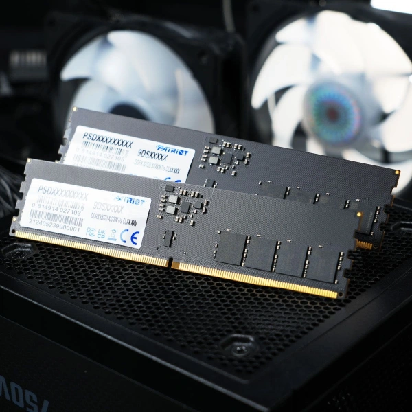 Память DDR5 16GB 6400MHz Patriot PSD516G64081C Signature RTL PC5-51200 CL52 DIMM 288-pin 1.1В single rank Ret