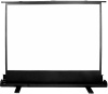 Экран Cactus 90x120см FloorExpert CS-PSFLE-120X90 4:3 напольный рулонный