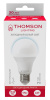 Лампа светодиодная Thomson TH-B2306 17Вт цок.:E27 груша 220B 6500K св.свеч.бел.хол. A (упак.:1шт)