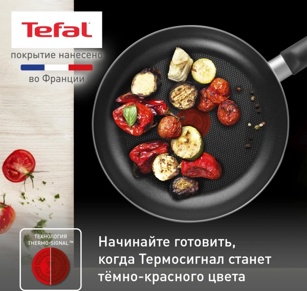 Сковорода Tefal Easy Plus Э 04237124 круглая 24см ручка несъемная (без крышки) черный (9100054095)