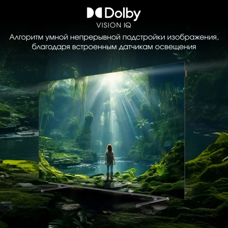 Телевизор OLED Digma Pro 65" OLED 65M Google TV Frameless черный/серебристый 4K Ultra HD 120Hz DVB-T DVB-T2 DVB-C DVB-S DVB-S2 USB WiFi Smart TV