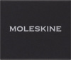 Шильд-символ Moleskine Zodiac Лев металл серебристый коробка с европод. PINLEOSILV