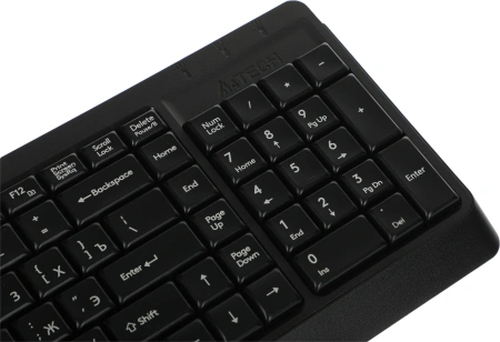 Клавиатура A4Tech Fstyler FK15 черный USB (FK15 BLACK)