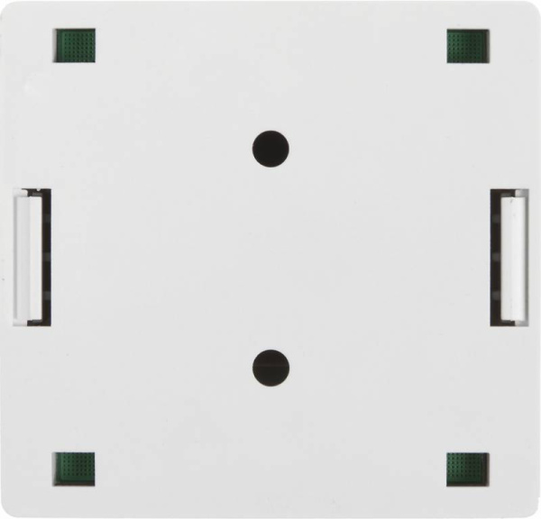 Розетка Lanmaster TWT-SM2-4545-WHRJ45 2 кат.5E бел. (упак.:1шт)