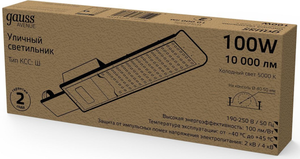 Светильник консольный Gauss 629534300 100Вт ламп.:1шт черный