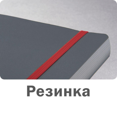 Блокнот Avery Zweckform NOTIZIO 7041 A5 80стр. клетка мягкая обложка фиксирующая резинка прошитый синий