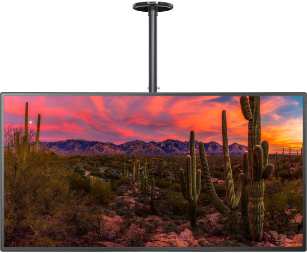Кронштейн для телевизора Cactus CS-CP04-R черный 37"-70" макс.81.6кг потолочный поворот и наклон