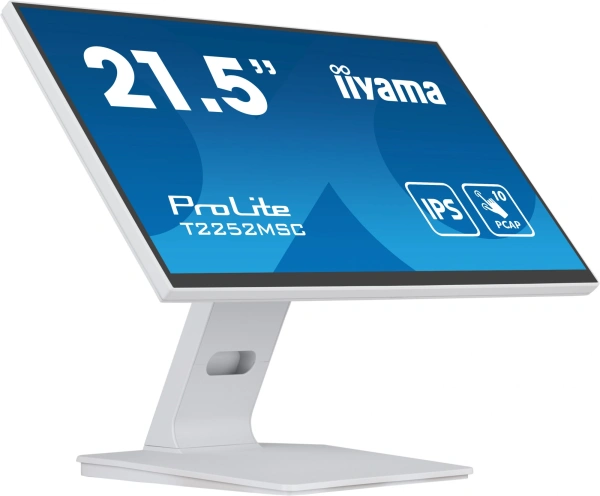 Монитор Iiyama 21.5" ProLite T2252MSC-W2 белый IPS LED 5ms 16:9 HDMI M/M матовая 250cd 178гр/178гр 1920x1080 DP FHD USB Touch 4.5кг