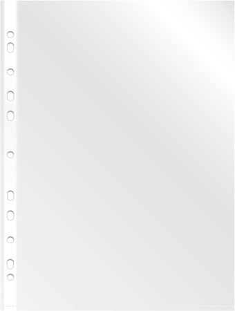 Папка-вкладыш Бюрократ СуперЛюкс -100TSLUX тисненые А4+ 100мкм (упак.:100шт)