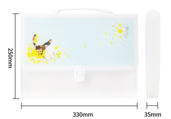 Папка-портфель Deli 72579 13 отдел. A4 с окантовкой полипропилен ассорти