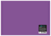 Конверт на кнопке Бюрократ -PK803TA5VIO A5 гориз. пластик 0.15мм фиолетовый