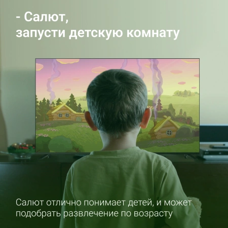 Телевизор LED Digma 65" DM-LED65UBB40 Smart Салют ТВ Frameless черный/4K Ultra HD/DVB-T/60Hz/DVB-T2/