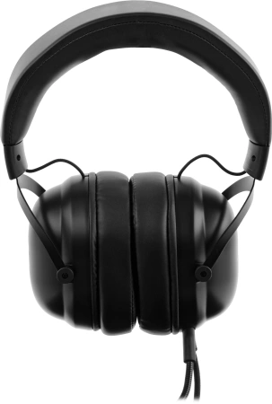 Наушники с микрофоном Acer AHW122 черный 2.1м мониторные USB оголовье (ZL.HDSCC.01U)