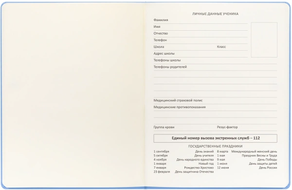 Дневник школьный Deli CN150-YELL желтый 48л. универс. обл.тверд. мел.карт.