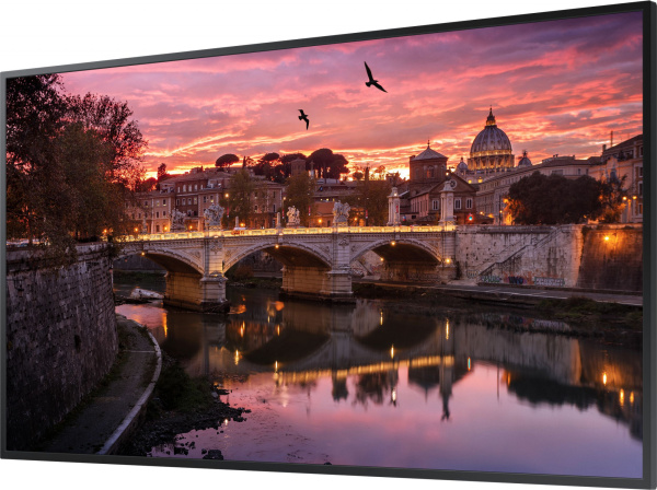 Панель Samsung 65" QB65B черный VA LED 8ms 16:9 DVI HDMI M/M матовая 350cd 178гр/178гр 3840x2160 DP RCA 4K USB 24.9кг