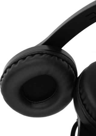 Наушники с микрофоном A4Tech Fstyler FH100 черный 2м накладные оголовье (FH100 (STONE BLACK))