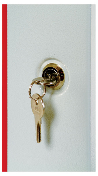 Шкаф коммутационный ЦМО (ШРН-12.650.1) настенный 12U 600x650мм пер.дв.стал.лист несъемн.бок.пан. 100кг серый 605мм 23.1кг 180град. 632мм