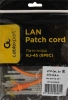 Патч-корд PP12-0.5M/O 1000G UTP 4 пары cat5E CCA molded 0.5м оранжевый RJ-45 (m)-RJ-45 (m)