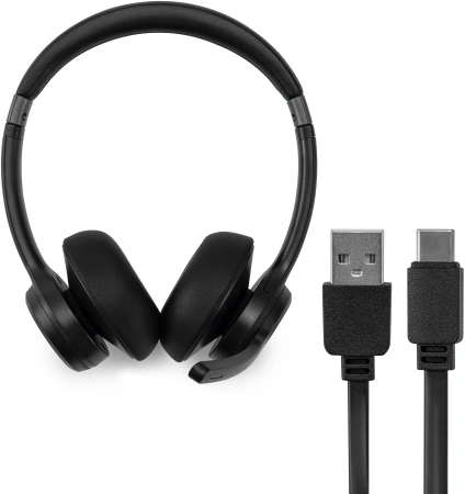 Наушники с микрофоном Оклик HS-L800 черный накладные (1978719)